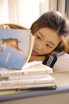 加菲猫